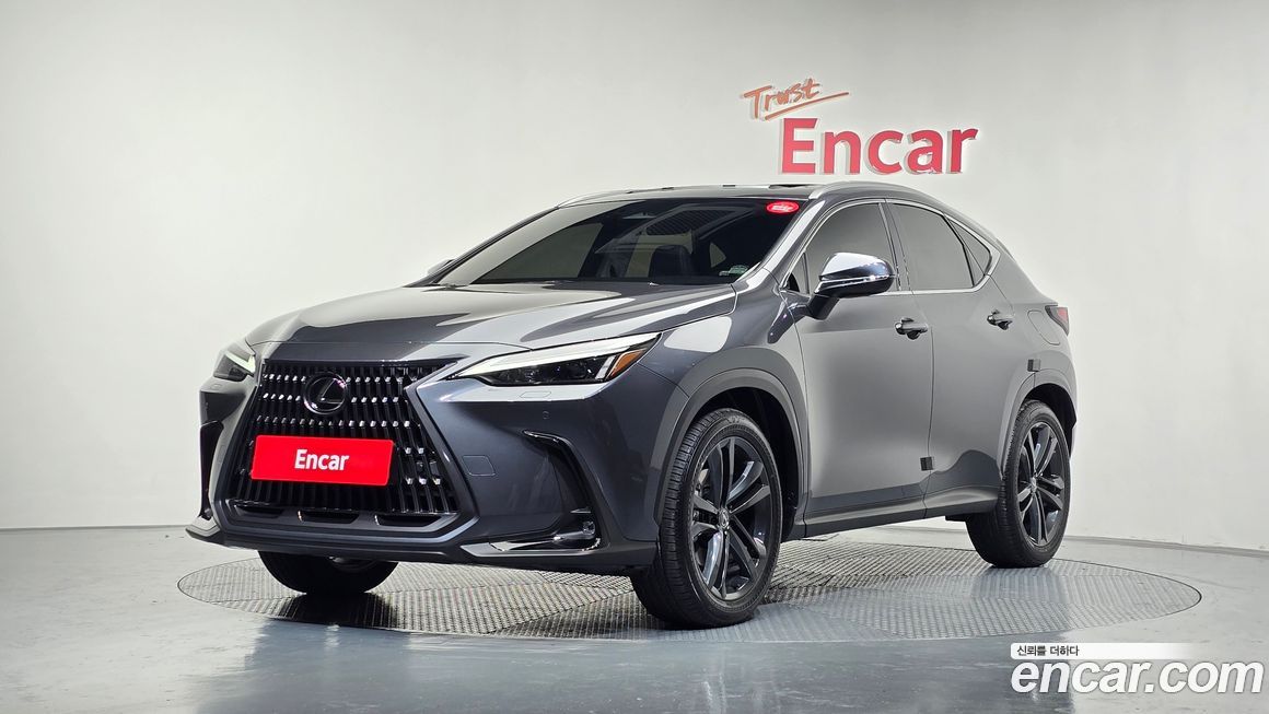 Lexus NX 2025