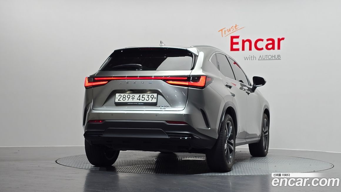 Lexus NX 2023