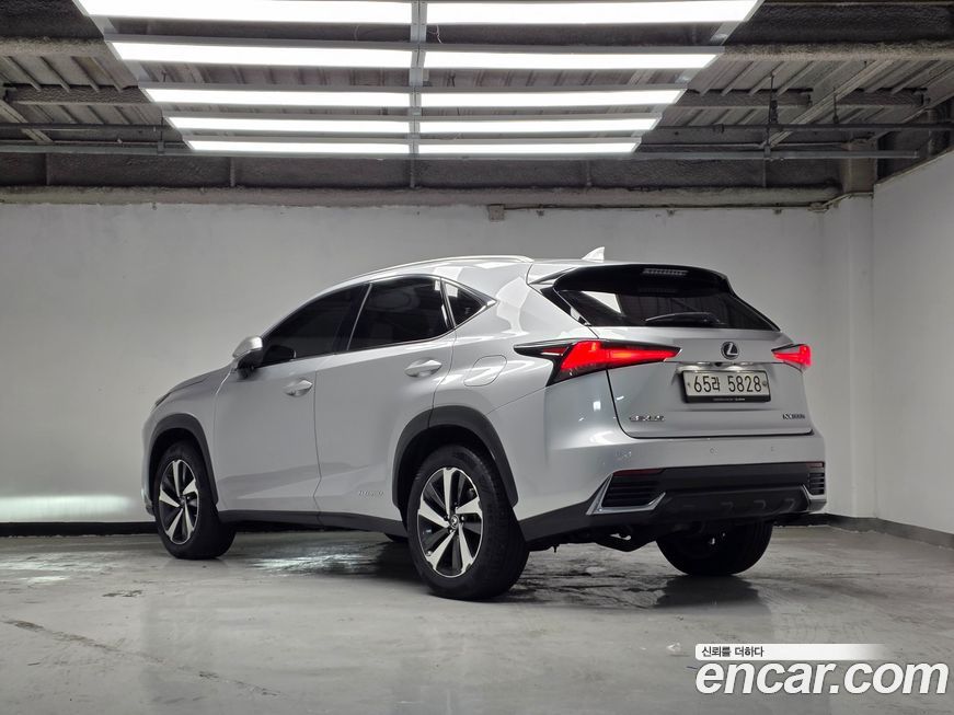 Lexus NX 2019