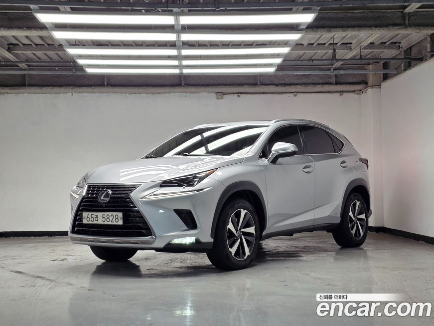 Lexus NX 2019