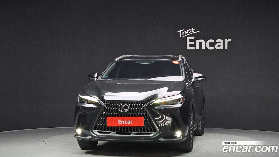 Lexus NX 2024