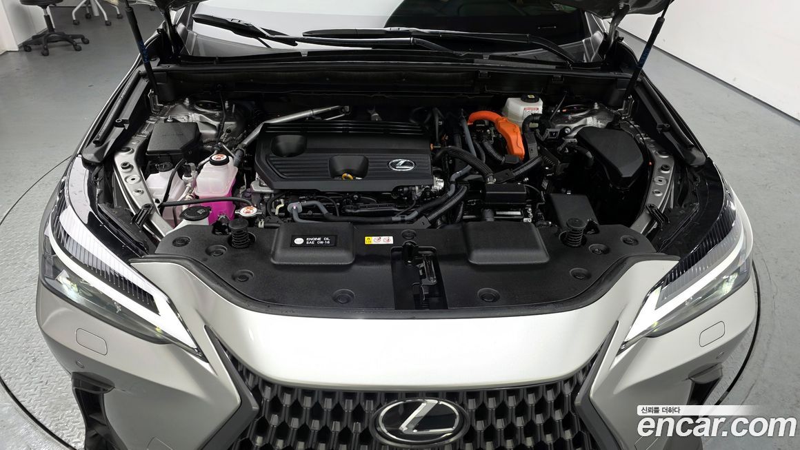 Lexus NX 2025