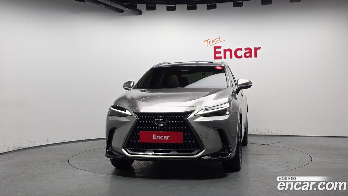 Lexus NX 2025