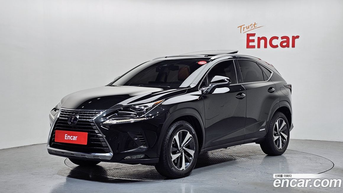 Lexus NX 2020
