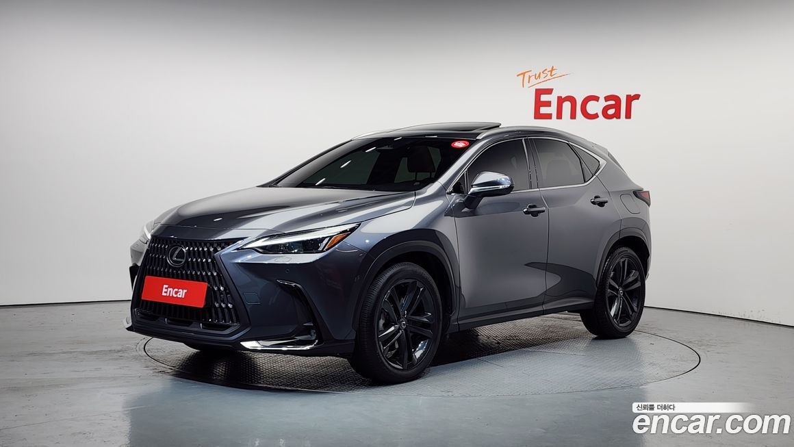 Lexus NX 2024