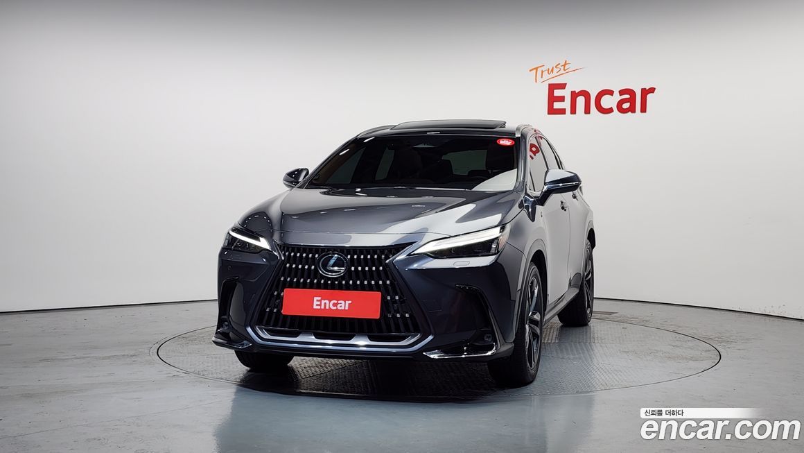 Lexus NX 2024