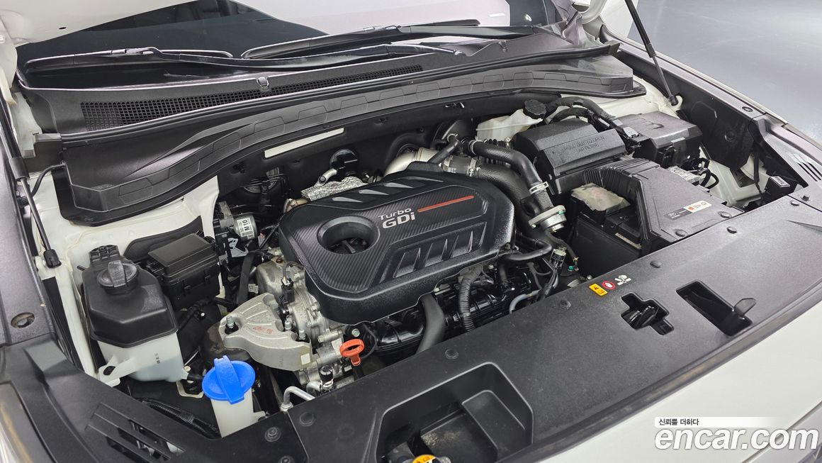 Hyundai Santafe 2020