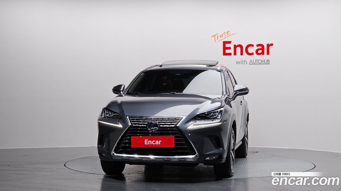 Lexus NX 2020