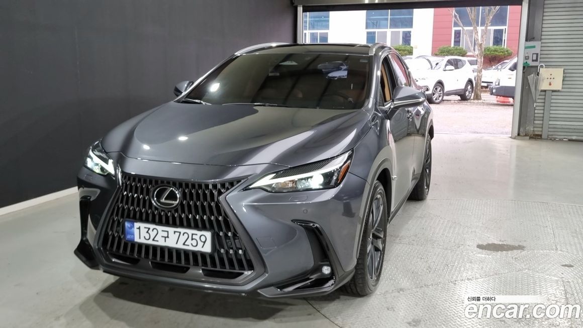 Lexus NX 2024