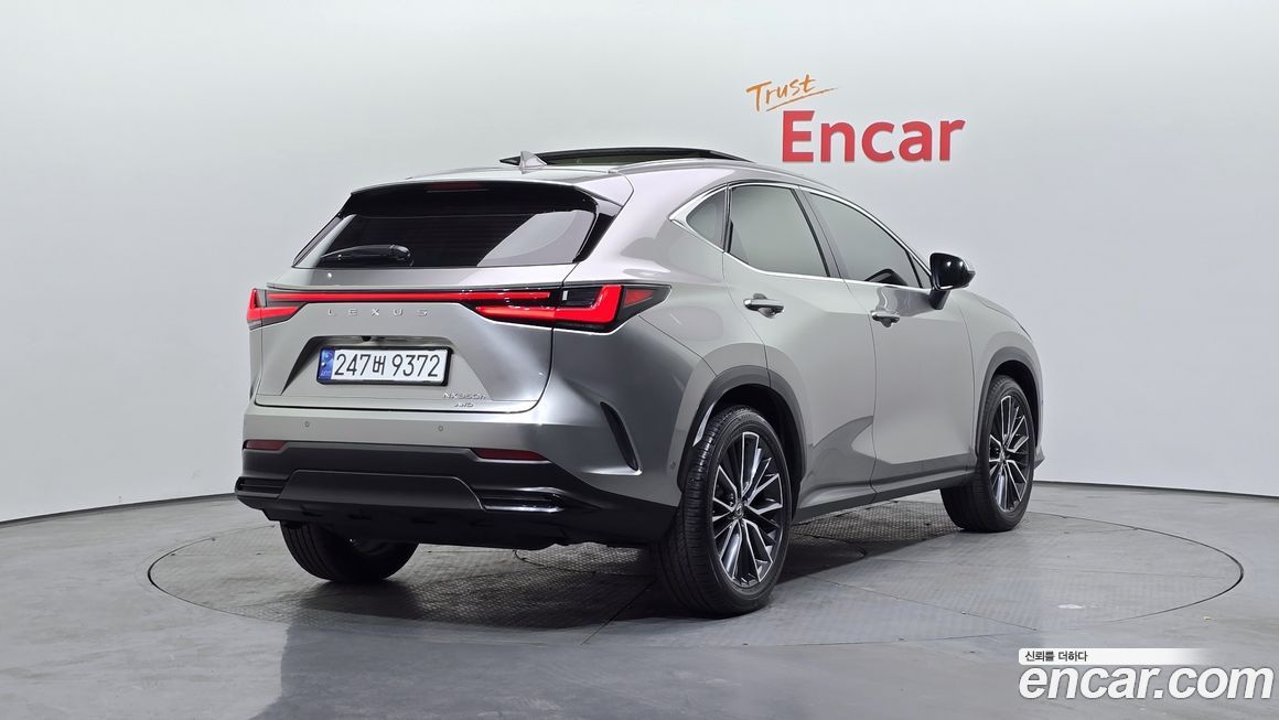 Lexus NX 2024