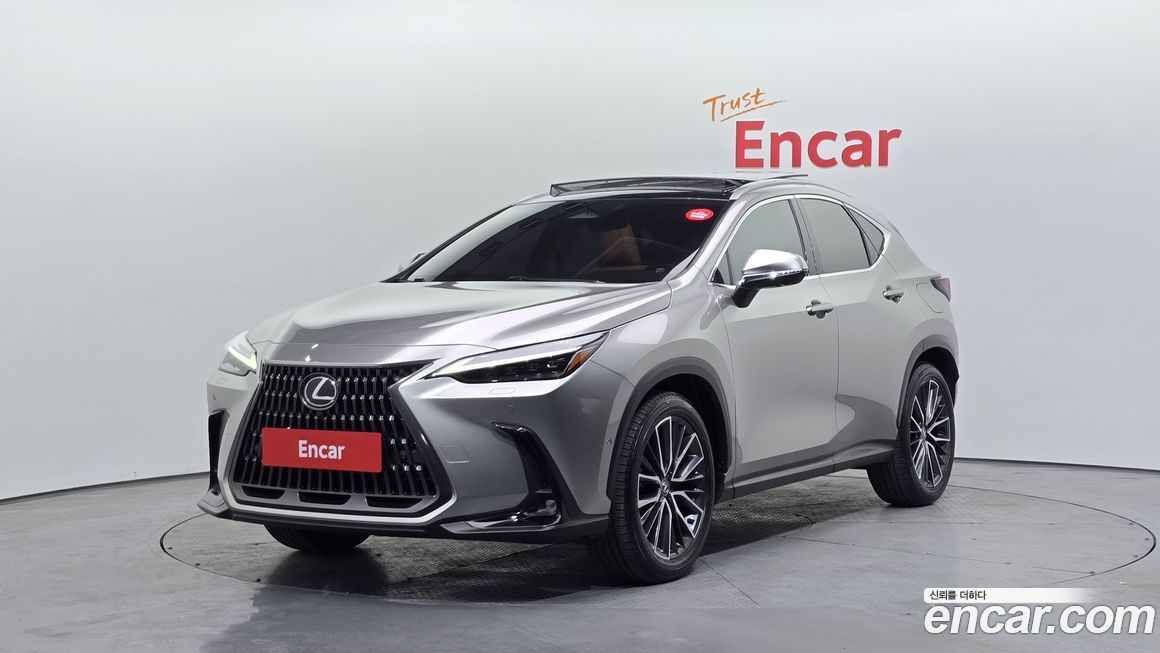 Lexus NX 2024