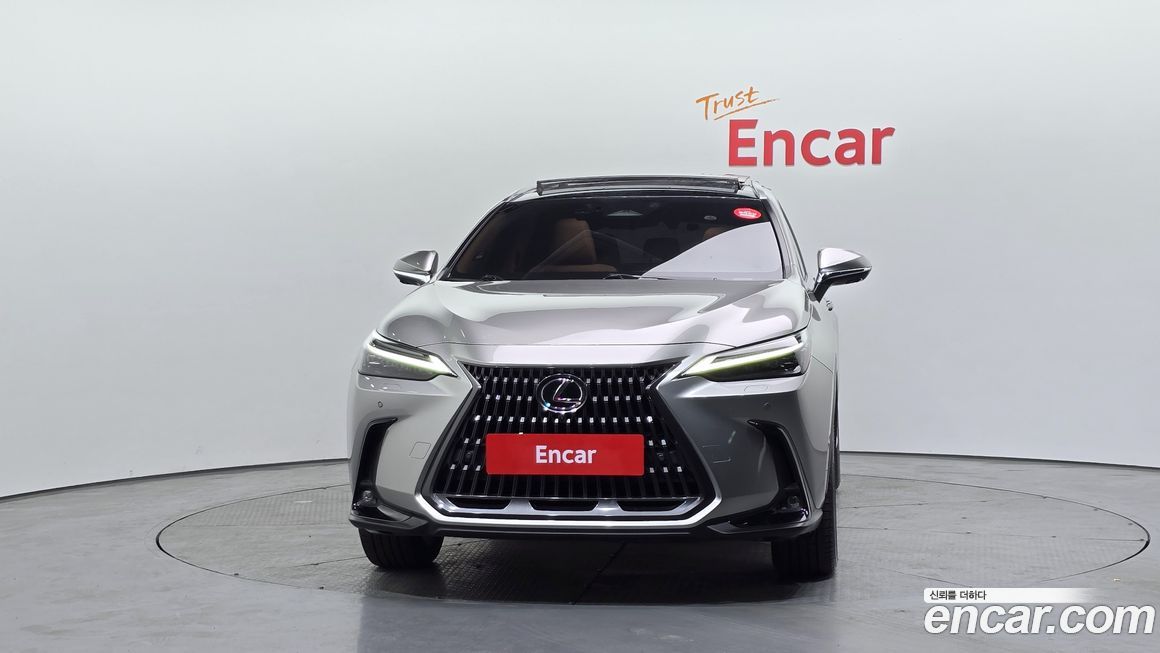 Lexus NX 2024