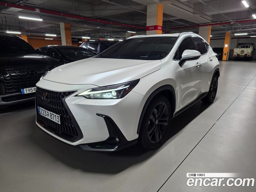 Lexus NX 2025