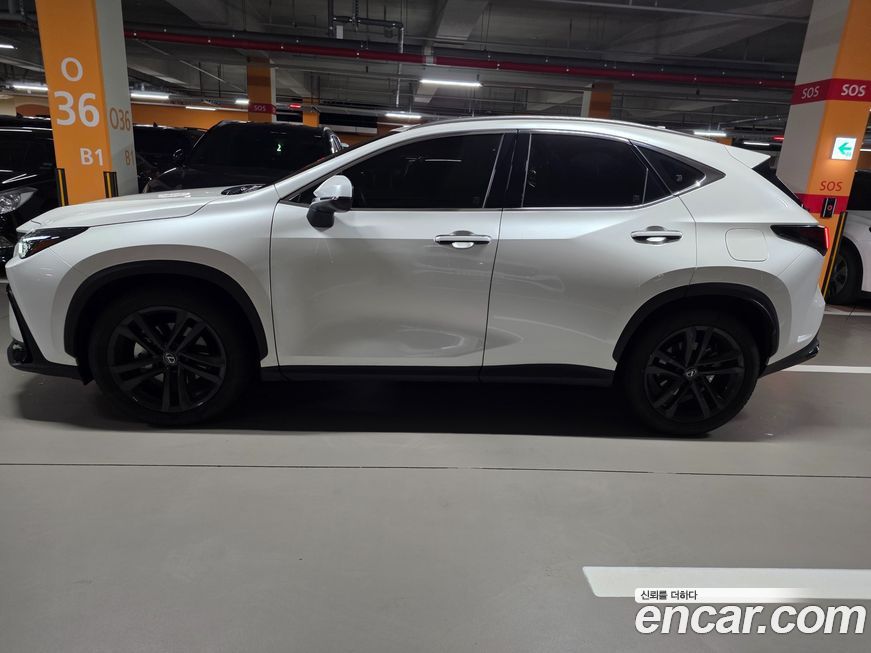 Lexus NX 2025