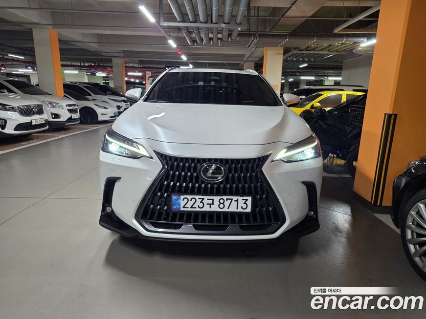 Lexus NX 2025
