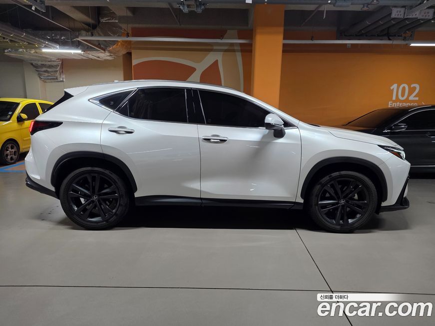 Lexus NX 2025