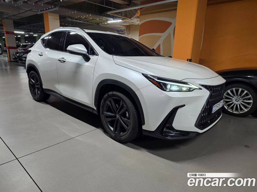 Lexus NX 2025