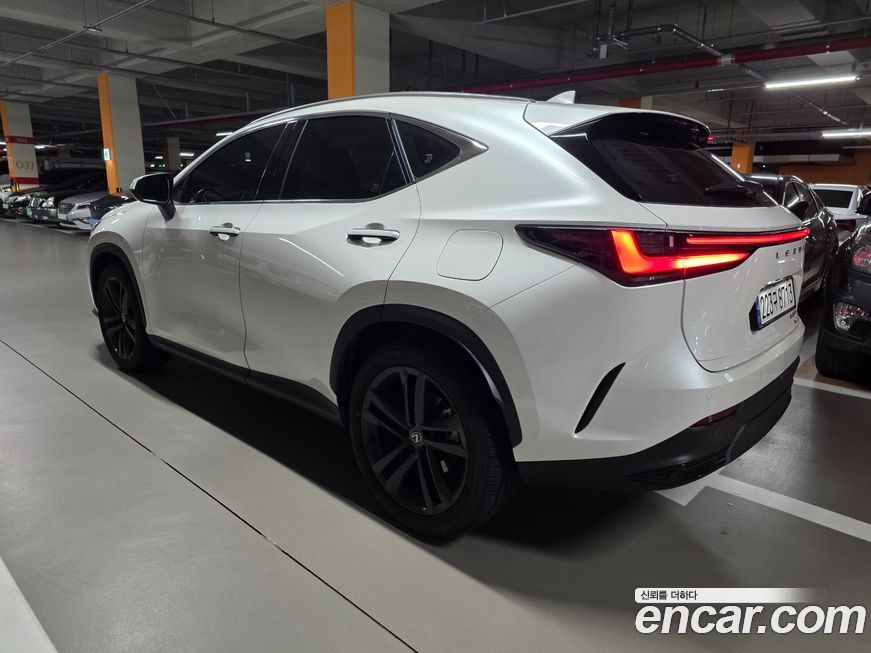Lexus NX 2025