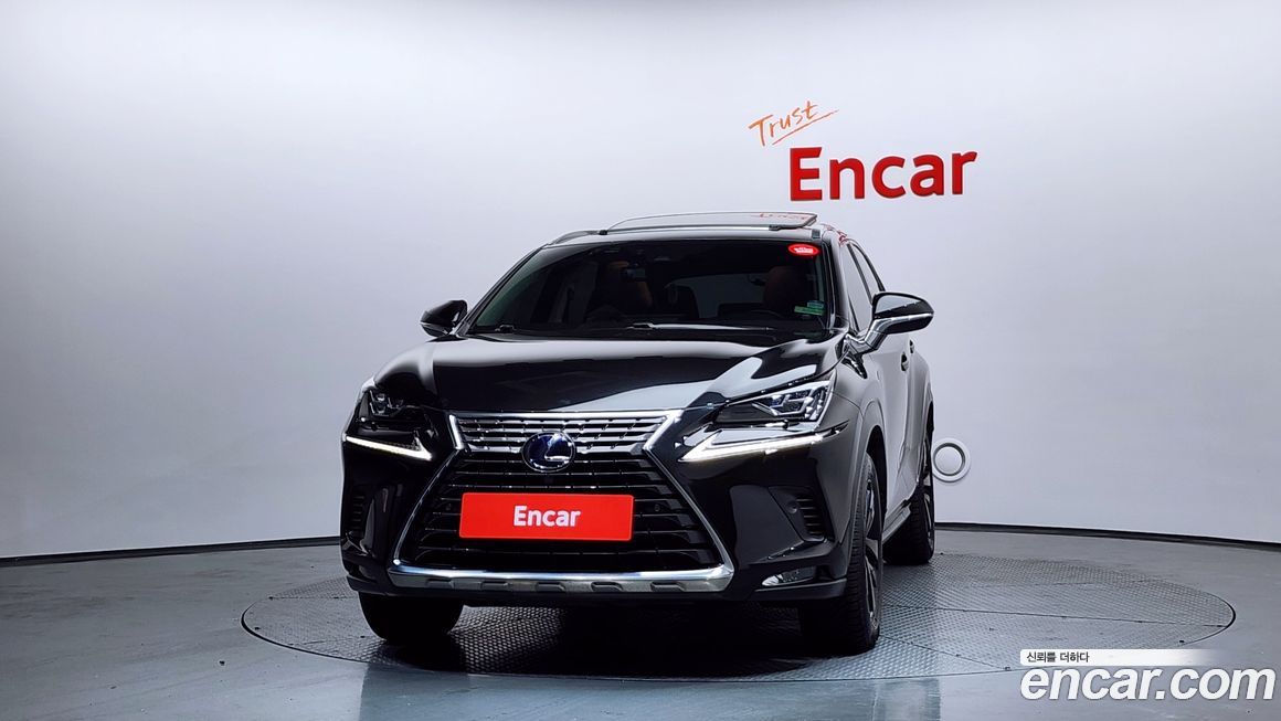 Lexus NX 2020