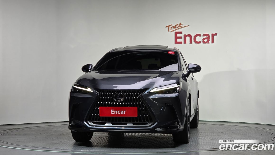 Lexus NX 2025