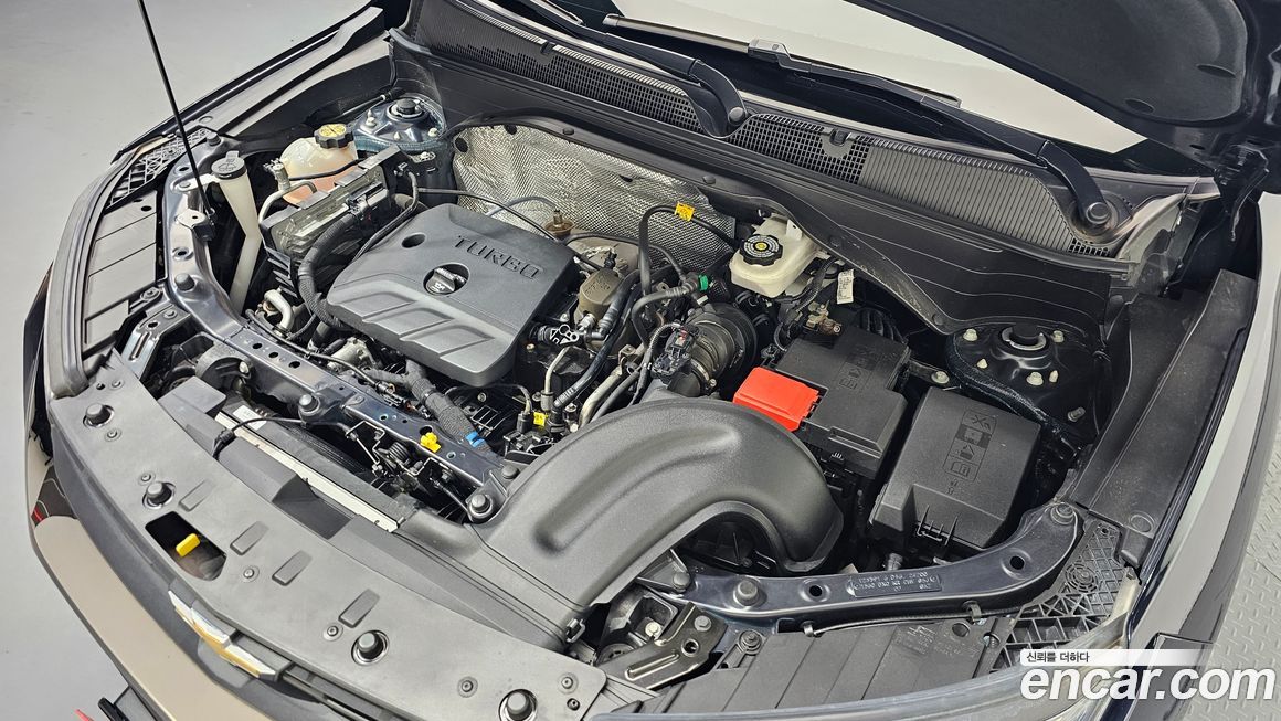 ChevroletGMDaewoo Trailblazer 2021