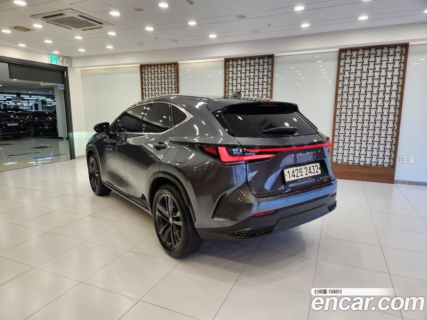 Lexus NX 2023