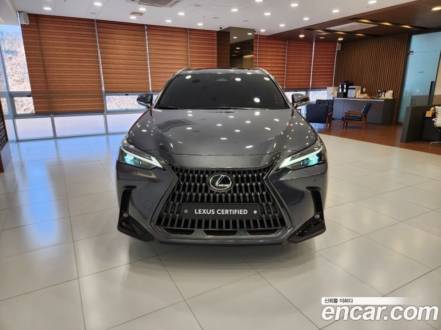 Lexus NX 2023