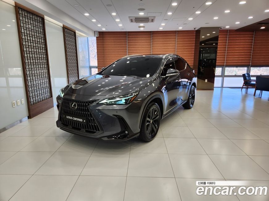 Lexus NX 2023