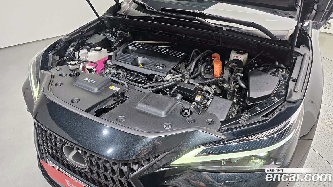 Lexus NX 2022
