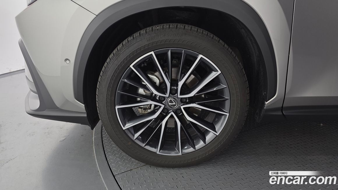 Lexus NX 2025