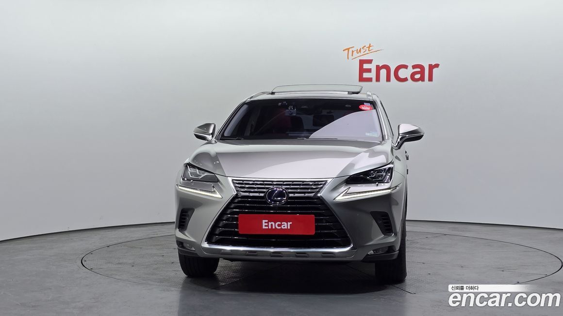 Lexus NX 2020