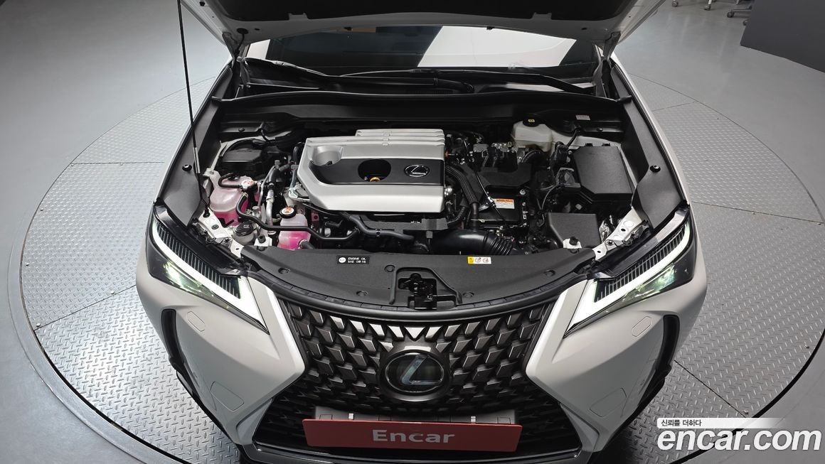 Lexus UX 2024