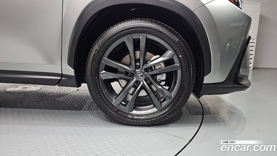 Lexus NX 2025