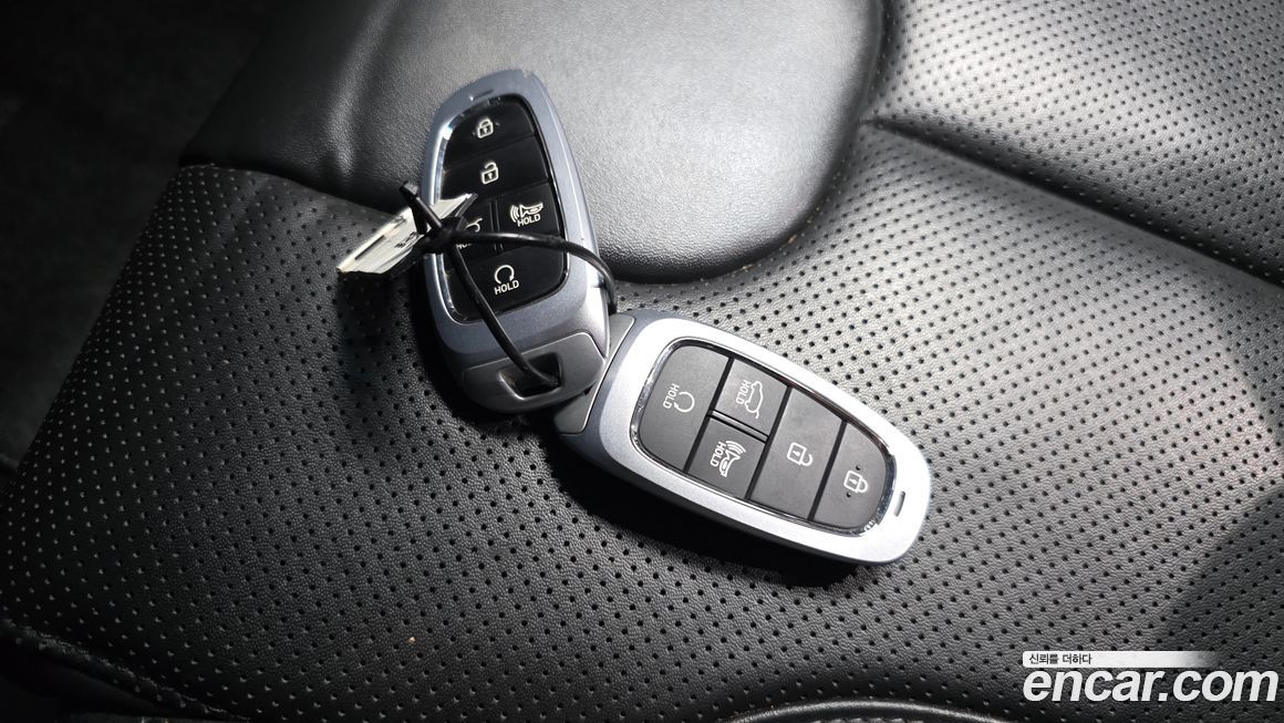 Hyundai Santafe 2021