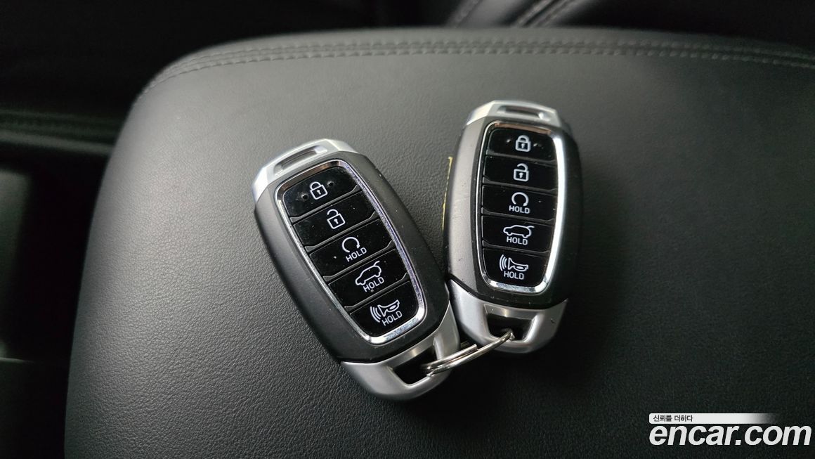 Hyundai Santafe 2020