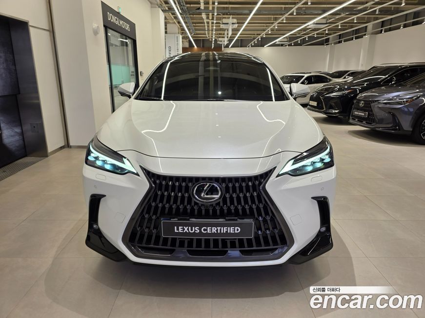 Lexus NX 2024