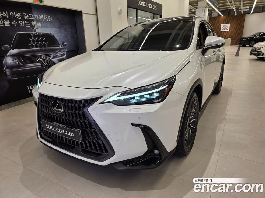Lexus NX 2024