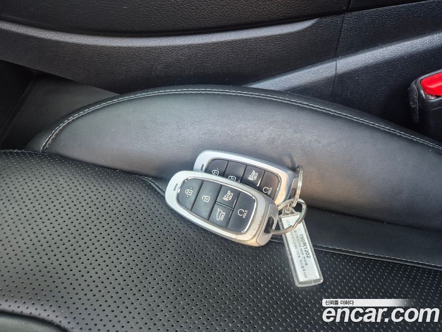 Hyundai Santafe 2022