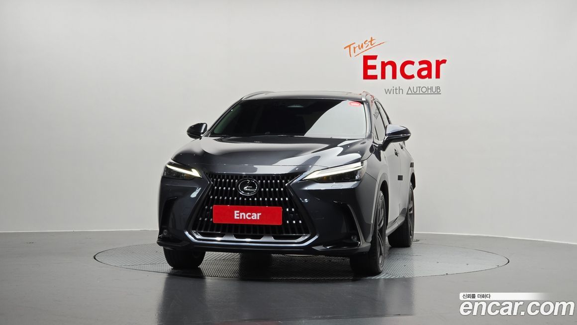 Lexus NX 2023