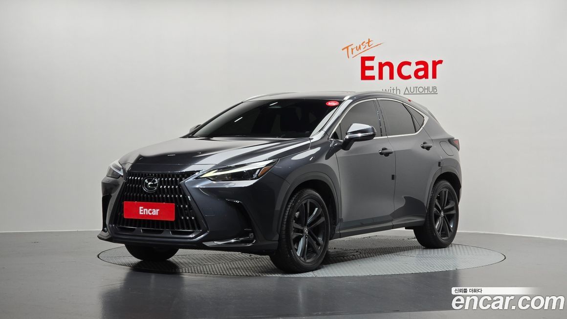 Lexus NX 2023
