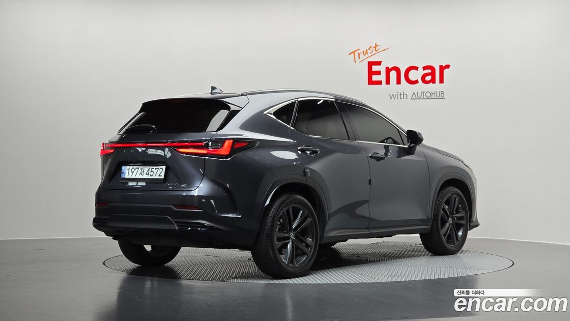 Lexus NX 2023