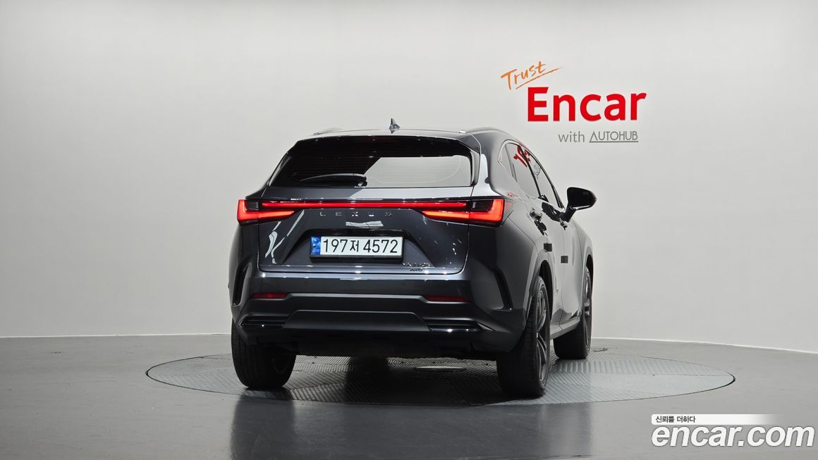 Lexus NX 2023