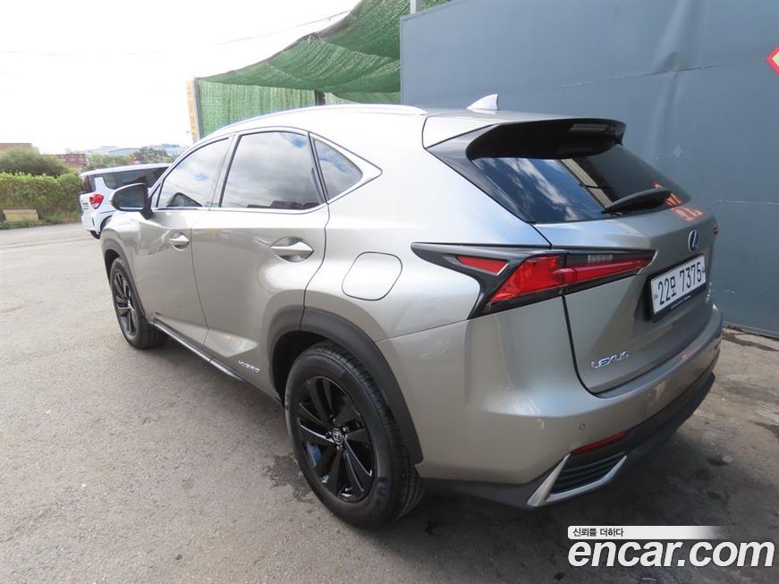 Lexus NX 2018