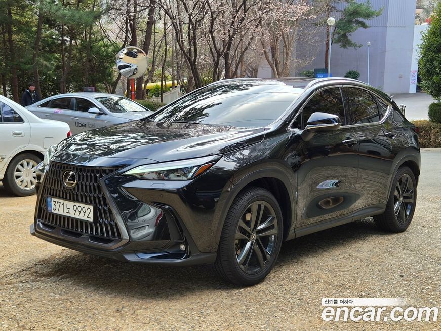 Lexus NX 2025