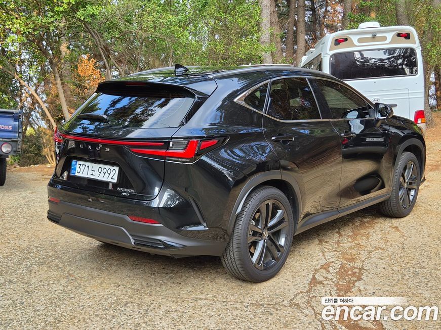 Lexus NX 2025