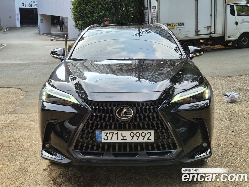 Lexus NX 2025