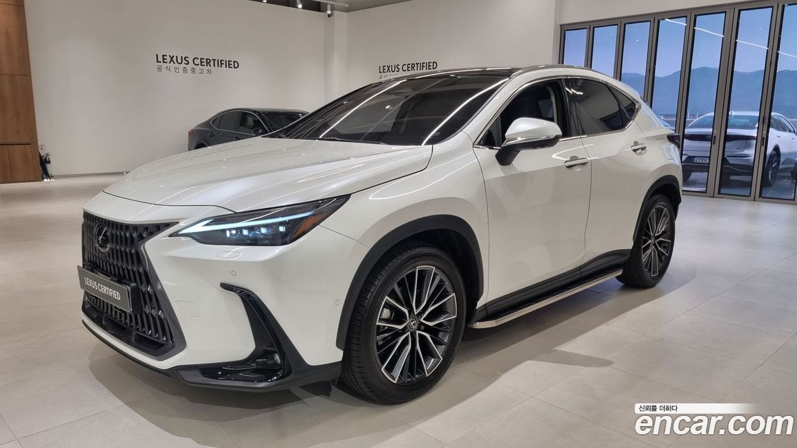 Lexus NX 2025