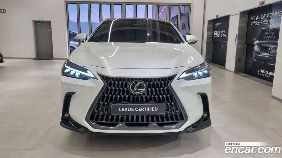 Lexus NX 2025