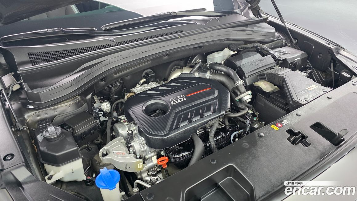 Hyundai Santafe 2020