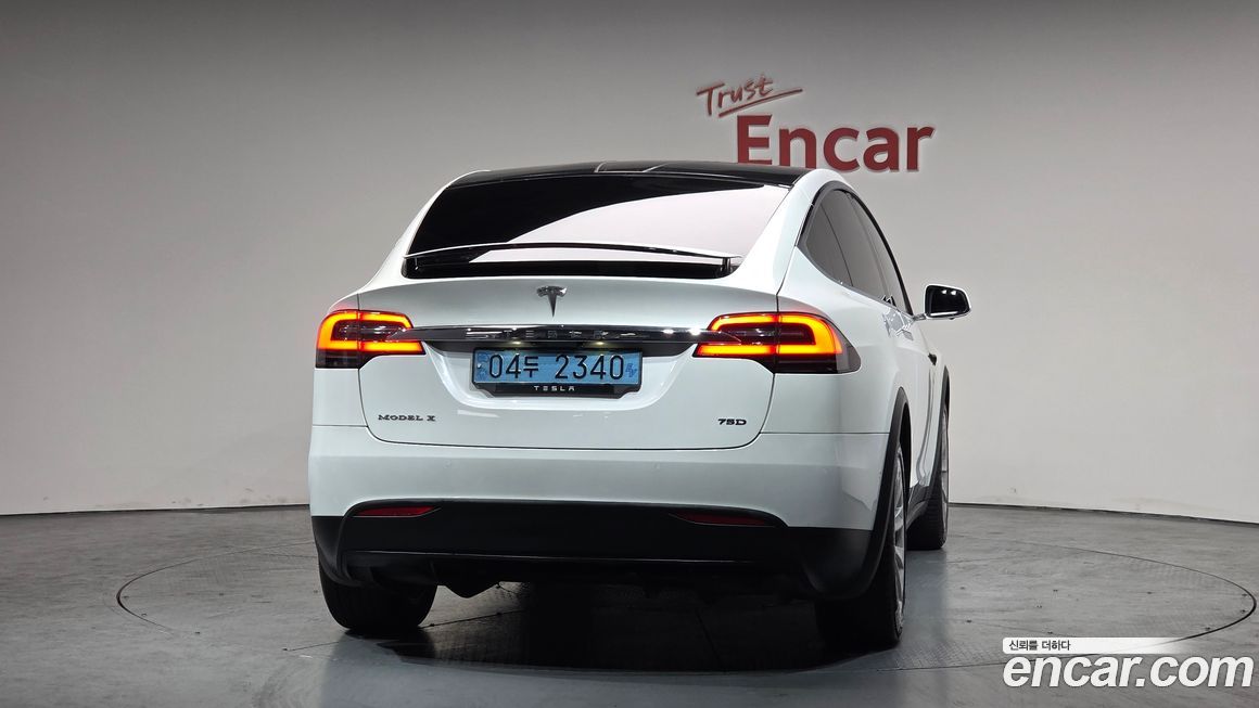 Tesla Model X 2019